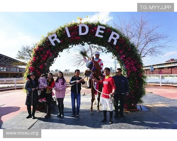 吉祥坊体育助手全面提升您的体育赛事观看体验与实时数据分析